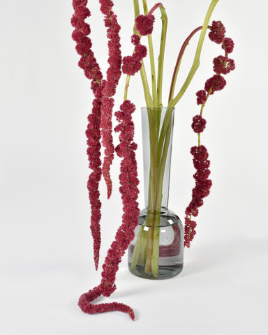 gather vase a grey glass amaranthus