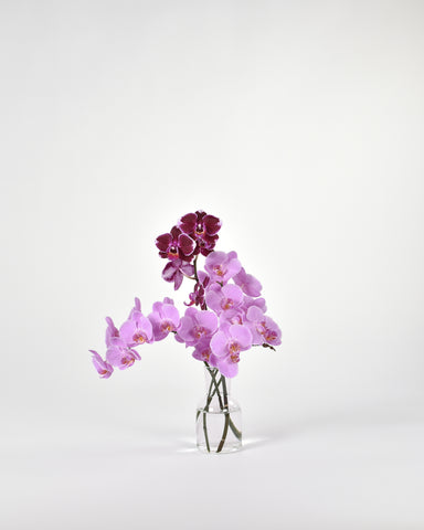 gather vase c clear glass flowers