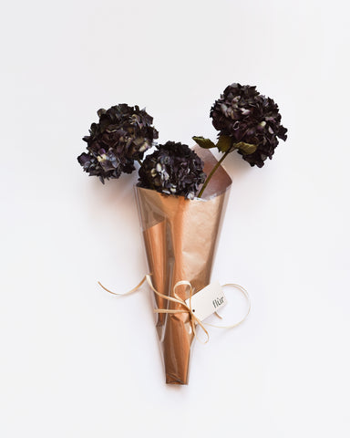 hydrangea magical chocolate dried flowers