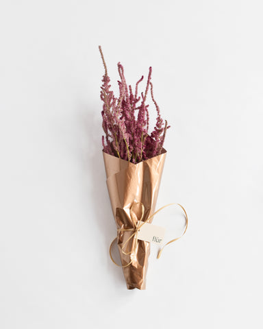 statice suworowii dried flowers 